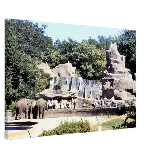 Detroit Zoo 1950s (Elephants)