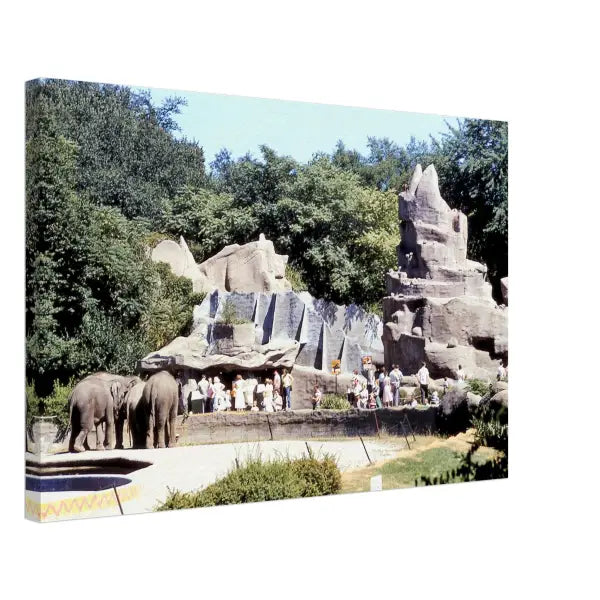 Detroit Zoo 1950s (Elephants) - Pictures
