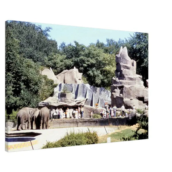 Detroit Zoo 1950s (Elephants) - Pictures